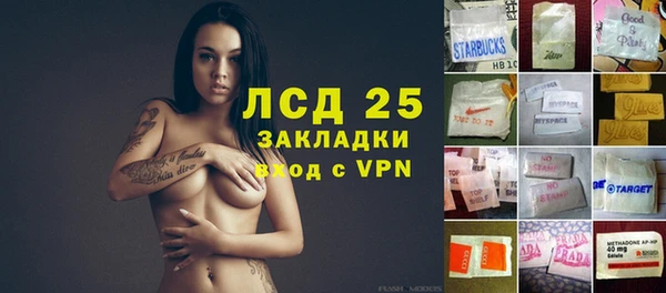 гашик Заволжье