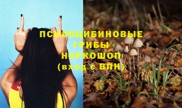 гашик Заволжье
